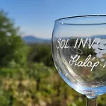 Sol Invictus Vendeghaz Case de vacanță