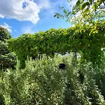 Sol Invictus Vendeghaz Case de vacanță Zalahaláp